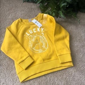 Baby Gap Sweater